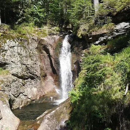 アパート Ferienland Sonnenwald 50 Schöfweg