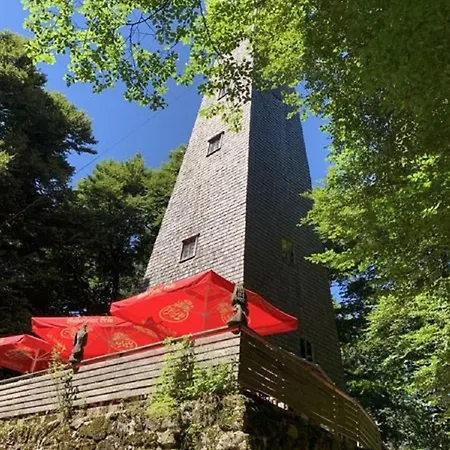 Ferienland Sonnenwald 50 アパート Schöfweg