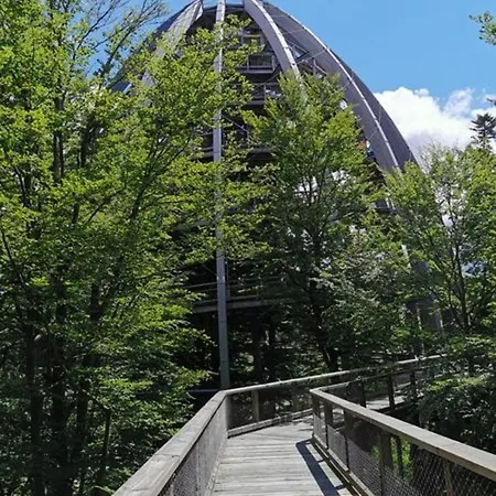 Ferienland Sonnenwald 50 Schöfweg